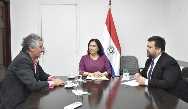 Metz Amarilla y Ruiz Diaz