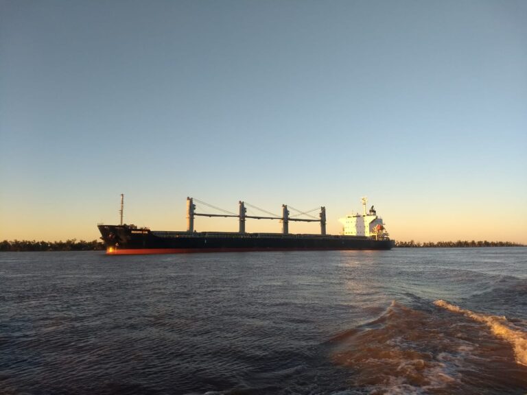 WhatsApp Image 2019-05-10 at 18.15.49