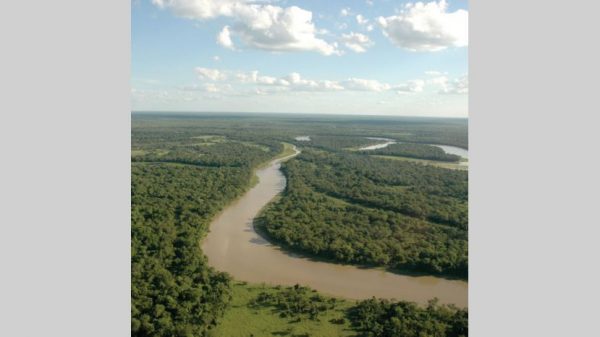 xfoto_nota_de_pxgina_4.jpg_258117318.jpg.pagespeed.ic_.bRnX2n4gf8