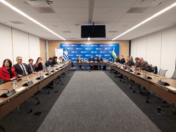 250623_SGCIC_Taller_Regional_PRODOC_Montevideo_Foto (17)